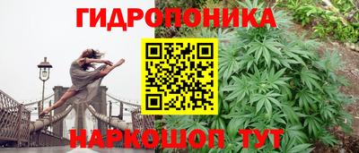 стафф Комсомольск-на-Амуре